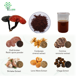 สารสกัดเห็ดหลินจือ 4% ~20% ไตรเทอร์พีน กรดกานอเดอริก ผงเห็ดหลินจือ - Product Image 6