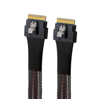 Câble interne SAS4.0 Slim 24 Gbit/s SFF-8654 vers SFF-8654 8i pour châssis de serveur 74p