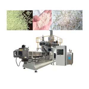 Made in China Jinan DG 500kg/h Fortified rice Extruder Machine/Nutritional Rice Production line