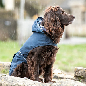 Lujo ajustable impermeable ligero galgo y <span class=keywords><strong>caza</strong></span> perro lluvia capa reflectante raya Sudadera con capucha chaqueta para mascotas - Product Image 5