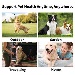 Lingettes humides spéciales pour animaux de compagnie sans rinçage, pour le nettoyage sûr des dents et la désodorisation des chiens et des chats - Product Image 3