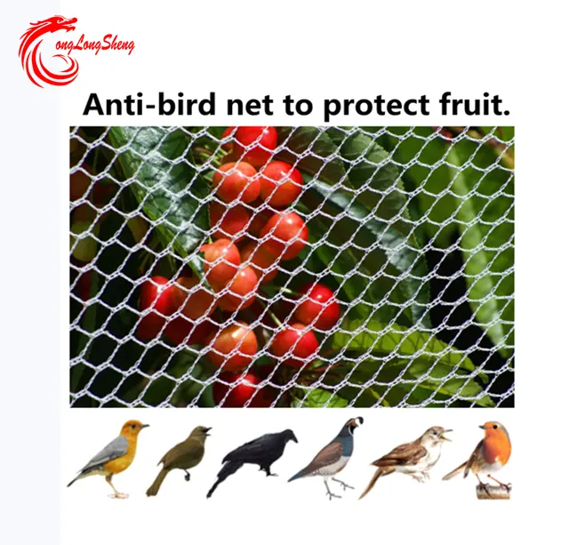 Rede de plástico para a rede de pássaros, necessidade de 45000 redes quadradas para o gráfico proteger de pássaros