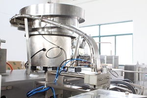 Sultanas khô mơ bánh quy ngũ cốc Muối ngắn dán điền máy - Product Image 2