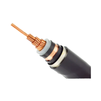 Cable de Cobre Libre de Oxígeno con Aislamiento XLPE de Bajo Voltaje 0.6/1kV, Resistente a las Llamas, Tamaño 185, Shenyang Taitong