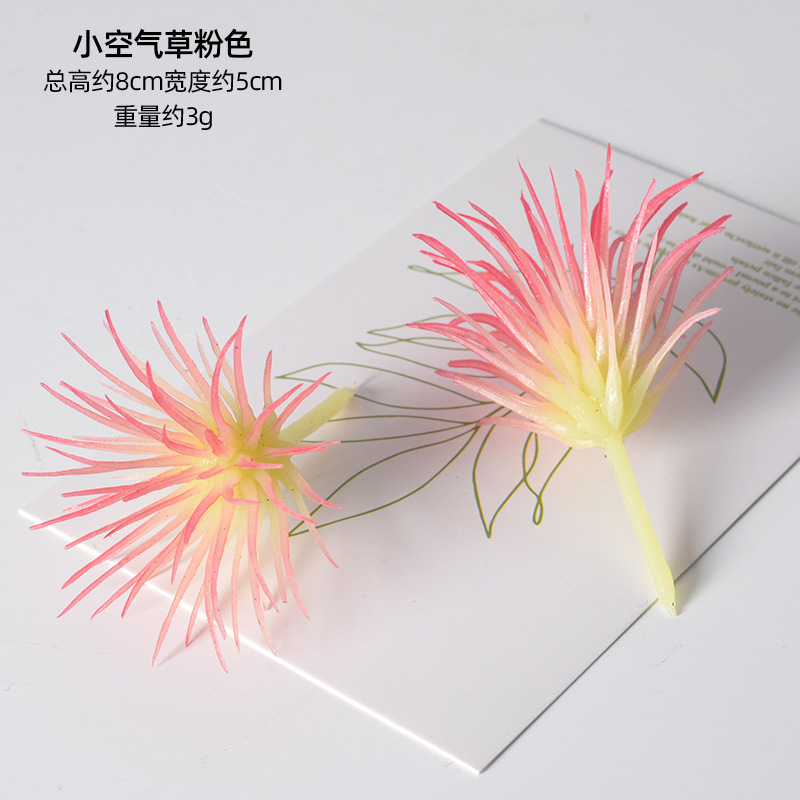 Planta de aire pequeña - rosa