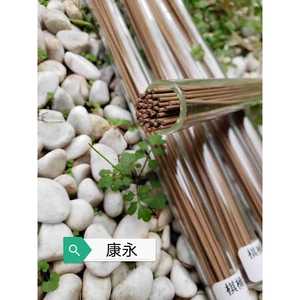 <b>Corked</b> Glass Incense Tube <b>Bottles</b> 15X225 High White Glass General Packaging - Product Image 2