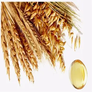 Supplément de croissance capillaire Anti-âge de haute qualité, 500Mg d'huile de germe de blé Softgel