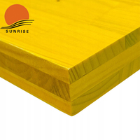 Modèle DOKA Contreplaqué jaune à 3 plis pour coffrage, style design industriel pour la construction de panneaux de coffrage