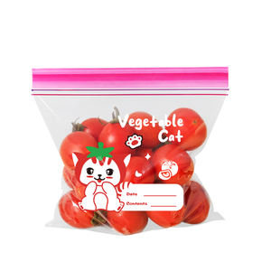 Fabrik Großhandel Double Track Clear Kunststoff Druck verschluss Paket Custom Color Zipper Lock Bag Stand up - Product Image 1