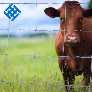 Zincato gioco di recinzione 18 filo di recinzione di ferro rete metallica per fattoria pannelli di recinzione prezzi all'ingrosso - Product Image 3