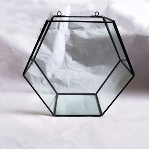 Tự Làm Tabletop Không Thường Xuyên <span class=keywords><strong>Glass</strong></span> Hình Học Cây Không Khí <span class=keywords><strong>Terrarium</strong></span> Hộp Máy Tính Để Bàn Kính Hiển Thị Trồng Cây Mọng Nước Hộp Hoa - Product Image 6
