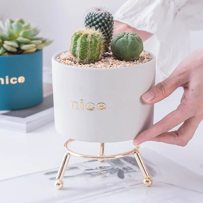 Ceramic Flower Pots with Stand Gold Color Glazed Nordic Modern Indoor Home Decoration Wholesale Succulent Plant Flowerpots