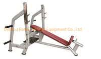Banc de musculation inclinable professionnel pour salle de sport, multifonctionnel, en acier tubulaire, pour musculation