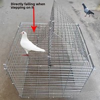 Nouvelle cage à pigeons à montage DIY pour la maison, maille fine, rotation automatique, galvanisée, montage facile