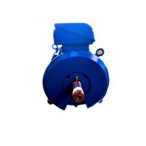 Motor de Inducción Trifásico Antiexplosión de Alta Eficiencia WEG W21 LX3 2P-0.75KW-380V-50HZ Baja Tensión CA Tipo Jaula de Ardilla B3T IE3 - Product Image 1