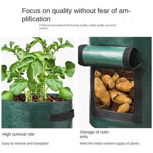 <span class=keywords><strong>Sac</strong></span> de culture double couche en PE avec poignées à rabat pour une récolte facile des pommes de terre, tomates, radis et autres légumes - Product Image 2