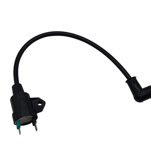 Bobine <span class=keywords><strong>d</strong></span>'<span class=keywords><strong>allumage</strong></span> de générateur de haute qualité UM 950 Type rond pour petites pièces de moteur pièces <span class=keywords><strong>d</strong></span>'essence - Product Image 2