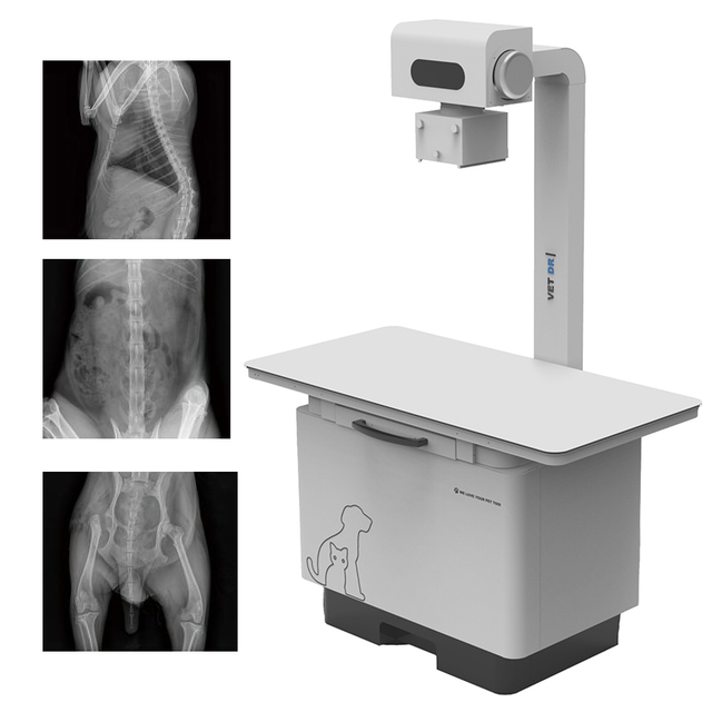 IN-32KW-P Veterinary Xray Portable X Ray Machine Digital Vet Dr X-ray Imaging Device Animal Radiography System
