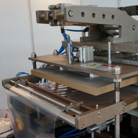Machine d'emballage automatique de cartes Blister, 10 unités