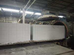 Linea di Produzione di Mattoni in Calcestruzzo Aerato Autoclavato (AAC) con Ceneri Volanti, Dotata di PLC e Riduttore - Product Image 2