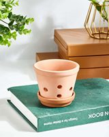Pot en argile terre cuite Absorption d'eau spéciale Propriétés respirantes Plantes succulentes suspendues Orchidées Jardinières en argile Pots de fleurs