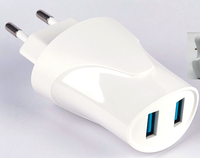 Chargeur mural UE avec sortie CC 5V 2.4A, double ports USB-A, charge rapide, certifié CE RoHS, prise UE pour ordinateur portable et téléphone portable