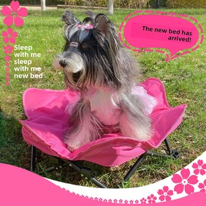 Cama Moderna para Perros <span class=keywords><strong>de</strong></span> Jardín con <span class=keywords><strong>Tela</strong></span> Oxford, Acolchado Cálido <span class=keywords><strong>de</strong></span> Algodón, Diseño Hexagonal Plegable y Portátil, 3 Tamaños, Casa para Gatos - Product Image 2