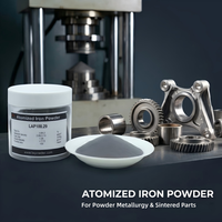 Poudre de fer atomisée à haute compressibilité Fe ≥99% 45μm pour la métallurgie des poudres MIM