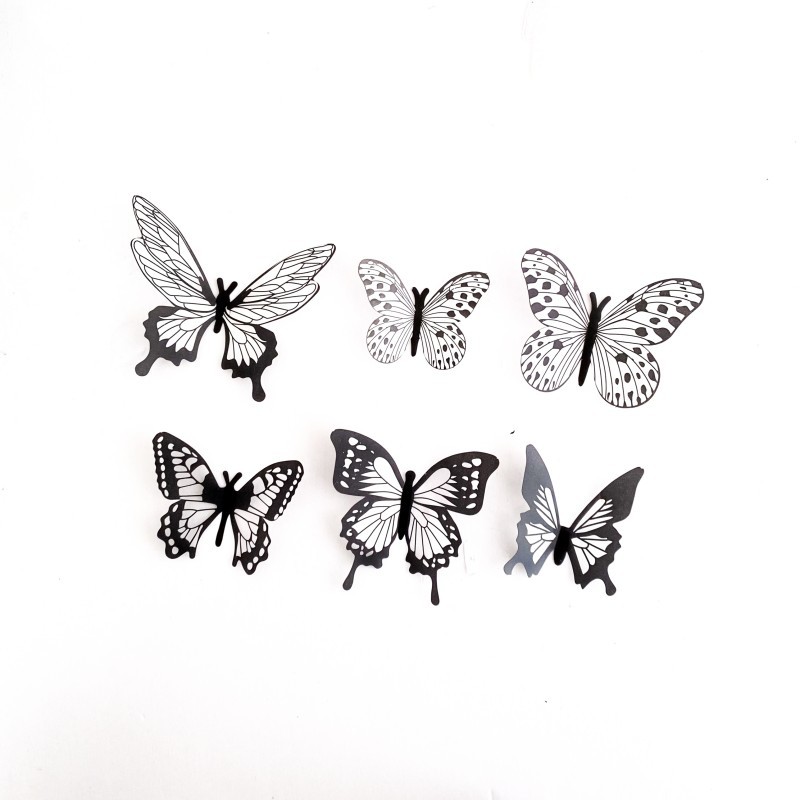 Ensemble papillon noir fin (avec fil)