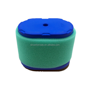 Sostituzione di nuove parti della macchina per la sostituzione dell'elemento filtrante per tosaerba Briggs Stratton con numero di parte 498596 - Product Image 6