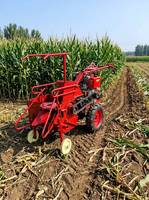 Mini-moissonneuse de maïs à une rangée, moteur diesel, petite moissonneuse-batteuse de maïs pour la récolte de maïs sec et humide en ferme et verger
