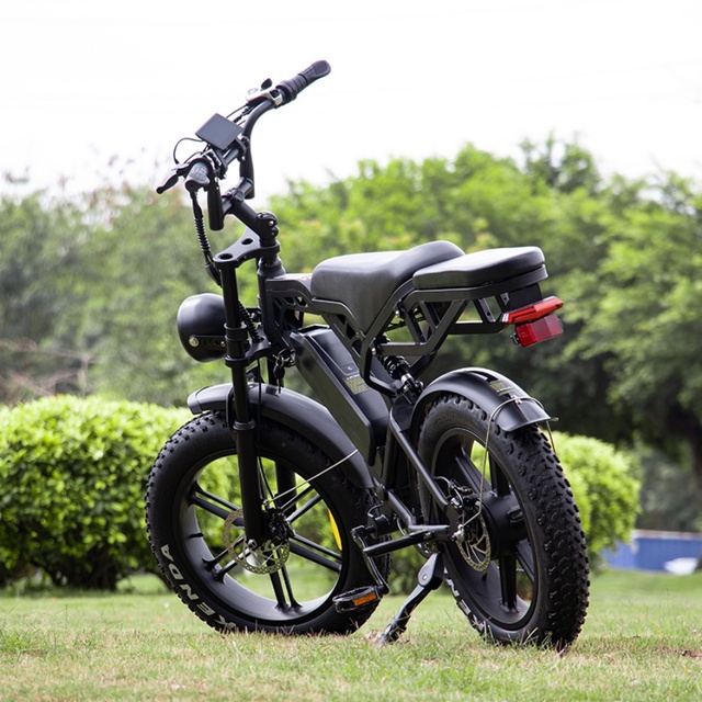 V20 Pro with Backseat 500W Single Battery Aluminum Frame Fat Bike Electric Fat Bike