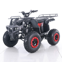 Quad à moteur Tao Motor Farm, quad à vendre, quad automatique à démarrage électrique, ATV 150cc, ATV pour enfants, essence 150cc