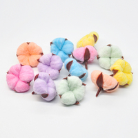 Tête de Kapok Artificielle Faite à la Main, Fleurs Séchées Naturelles, Cotons-tiges, Décoration de Chambre de Mariage, Pâques, Couronne DIY, Bouquet, Boîte Cadeau