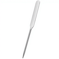 Spatule en acier inoxydable pour masque facial, outil de maquillage pour une couverture uniforme et un correcteur, spatule cosmétique, grattoir, palette, bâton de mélange