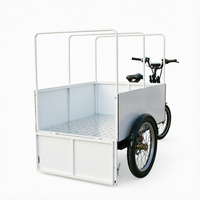 Tricycle de livraison express motorisé puissant pour marchandises lourdes, type triporteur électrique de type camionnette