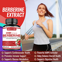 Complément de berbérine HCL - Extrait de berbérine de haute pureté de qualité supérieure, capsules de soutien immunitaire pour hommes et femmes adultes