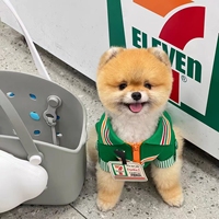 Costume de luxe personnalisé en coton 711 pour animaux de compagnie, tenue de caissier, vente en gros pour chiens et chats