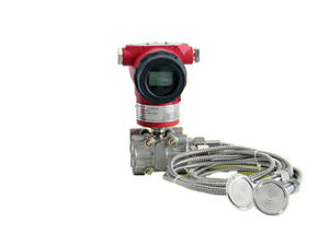 모세관 레벨 트랜스미터 이중 플랜지 정전용량 차압식 - Product Image 2