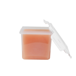 Modello di Pratica per Puntura Guidata ad Ultrasuoni Scalptek, 4 Lesioni, Materiale Bionico Medico, Modello Multifaccia per Biopsia - Product Image 2