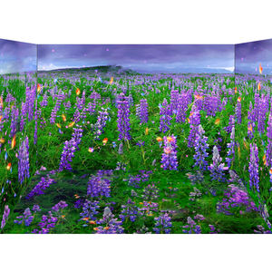 โฮโลแกรมเมอร์ในร่มสำหรับเด็ก3D ฉายภาพมหัศจรรย์แบบสมจริงเครื่องเล่นแบบโต้ตอบ - Product Image 3