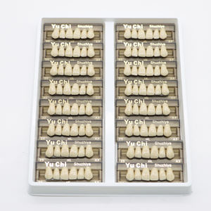 ZUNCHI - Dientes de Resina Acrílica de Buena Calidad y Bajo <span class=keywords><strong>Precio</strong></span> para Dientes Superiores Frontales, 2 Capas, 6*1 - Product Image 2