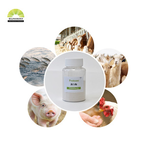 Proteaz-amilaz enzim kompleksi | Sindirim takviyeleri için amilaz lipaz proteaz - Product Image 5