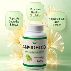 สารสกัดแปะก๊วย 120 มก. แบบแคปซูล สำหรับสุขภาพสมองและการไหลเวียนโลหิต (OEM รับผลิตแบรนด์ส่วนตัว) - Product Image 3