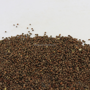 Großhandel Suzi getrocknete lila schwarze Perilla-Samen Kräuter und Gewürze essbare kleine Perilla-Samen - Product Image 4