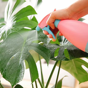 Candy-Colored <b>Mini</b> <b>Spray</b> <b>Bottle</b> Plastic Garden Watering Can Sprayer Pink And Blue For Gardening - Product Image 2