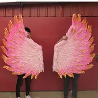 Professional Genuine Adult Feather Angel Wings Baby Pink