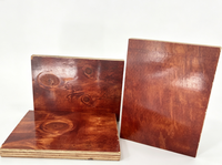 Panneau de contreplaqué CDX en pin écologique Wansongguan, qualité structurelle durable pour la toiture, les ossatures murales et les sous-planchers
