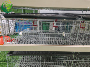 Nueva Jaula para Pollitos de Acero Galvanizado Tipo H de Cuatro Niveles y <span class=keywords><strong>Ocho</strong></span> Puertas, de Alta Calidad, Fabricada con Acero Q235 con Alto Contenido de Carbono, Entrega en 45 Días - Product Image 2