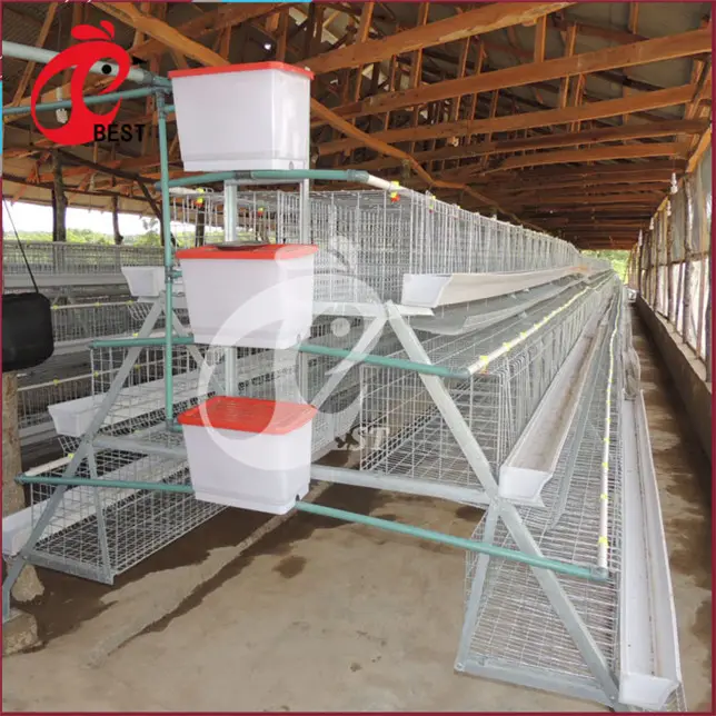 4 Tiers Chicken Egg Layer Battery Cage For Tanzania Poultry Farm